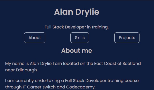 an image of the dev portfolio site